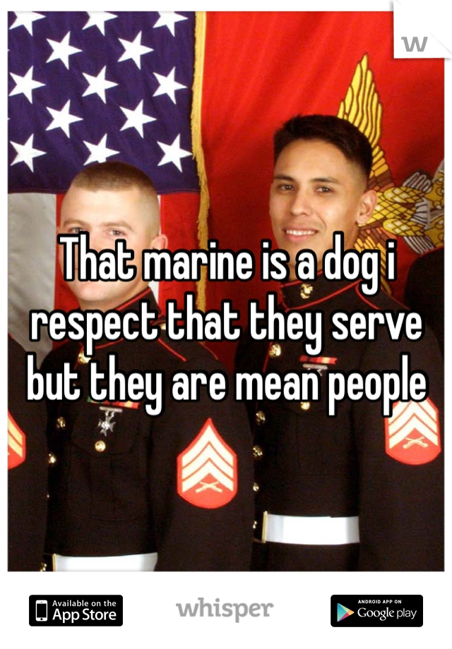 That marine is a dog i respect that they serve but they are mean people  