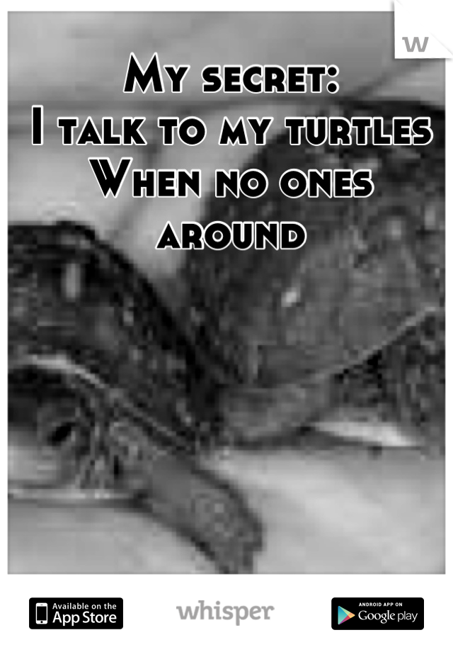 My secret:
I talk to my turtles
When no ones around