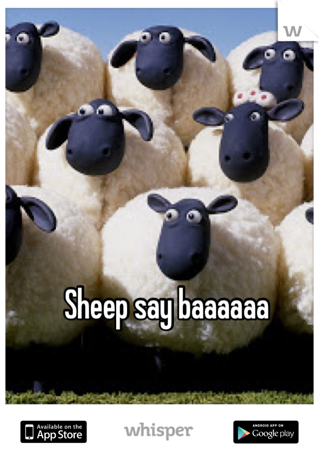 Sheep say baaaaaa