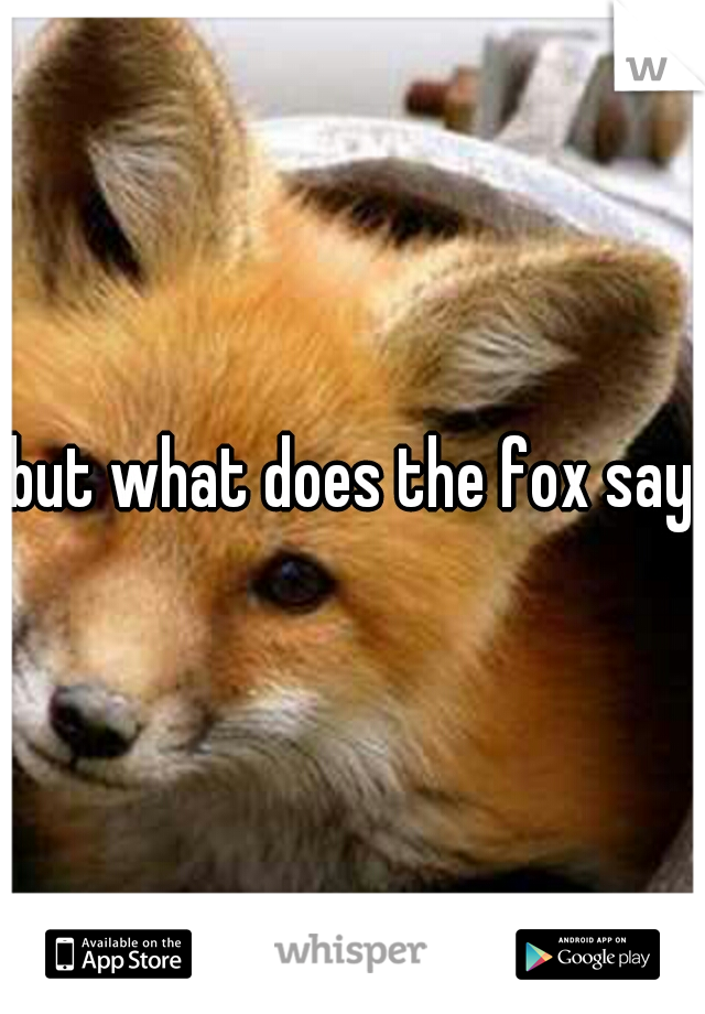 but what does the fox say?