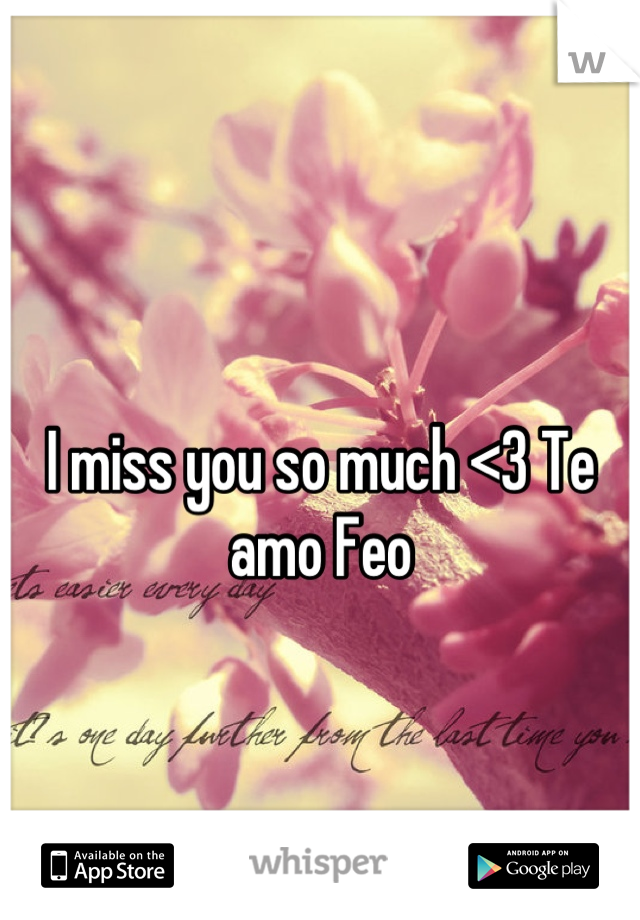 I miss you so much <3 Te amo Feo