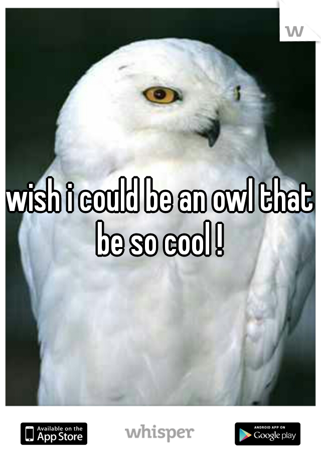 wish i could be an owl that be so cool ! 
