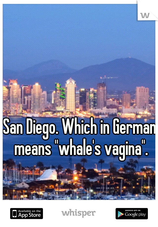 San Diego. Which in German means "whale's vagina".
