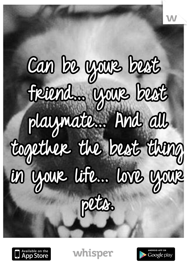 Can be your best friend...
your best playmate...
And all together the best thing in your life...
love your pets.