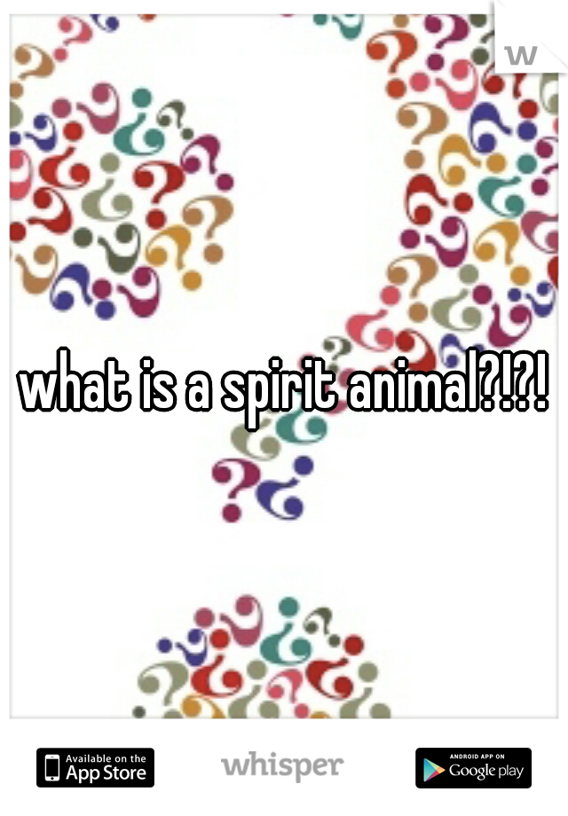 what is a spirit animal?!?!