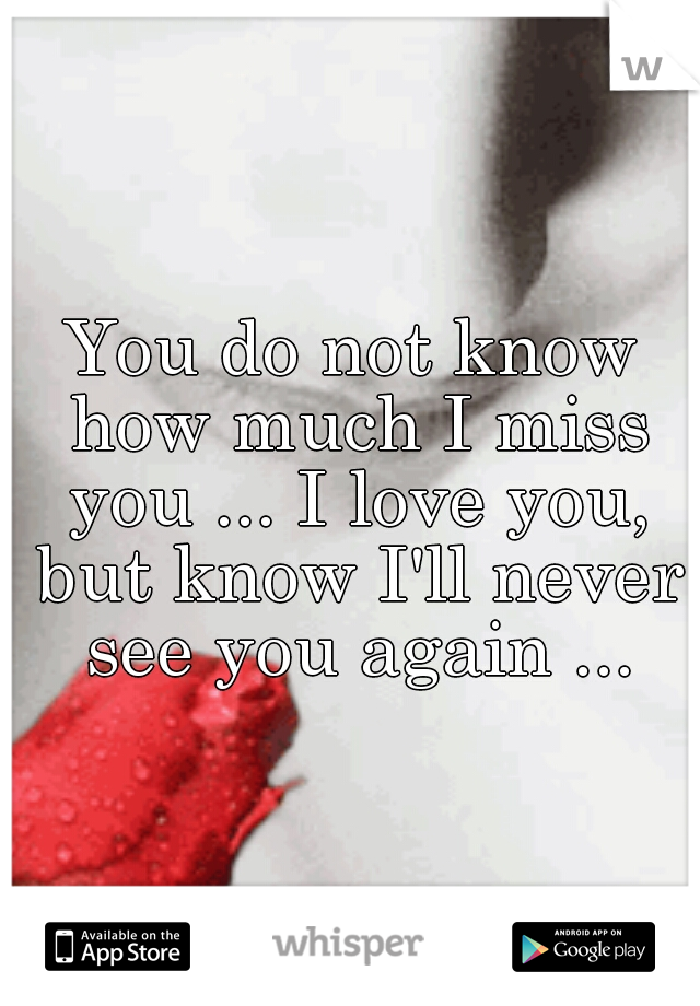 You do not know how much I miss you ... I love you, but know I'll never see you again ...