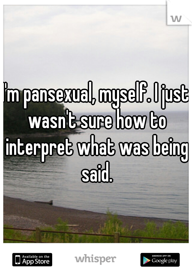 I'm pansexual, myself. I just wasn't sure how to interpret what was being said.
