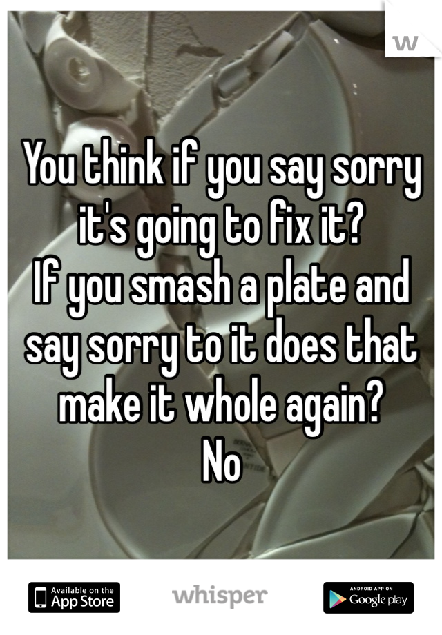 You think if you say sorry it's going to fix it?
If you smash a plate and say sorry to it does that make it whole again?
No 