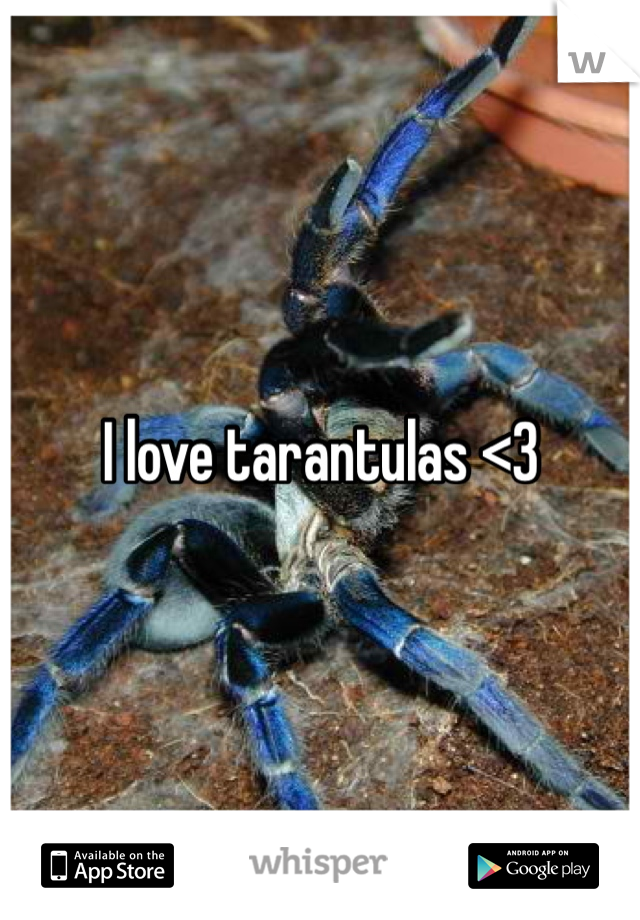 I love tarantulas <3