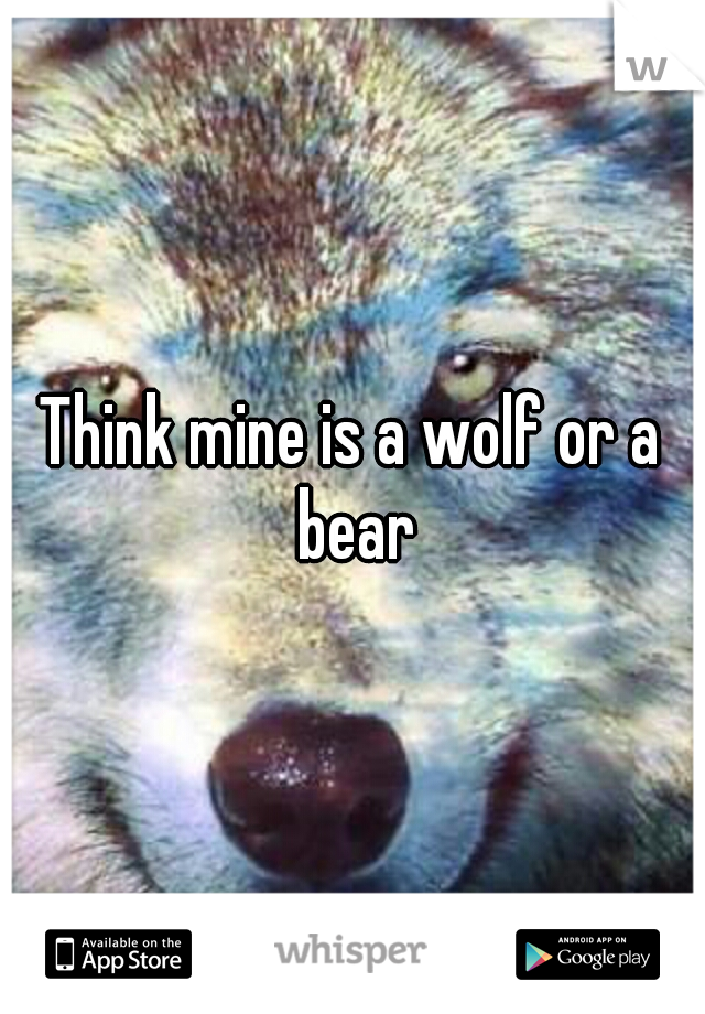 Think mine is a wolf or a bear