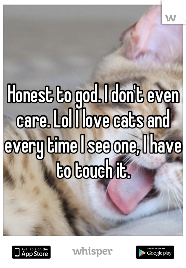 Honest to god. I don't even care. Lol I love cats and every time I see one, I have to touch it.
