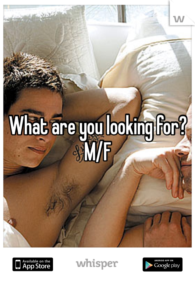 What are you looking for? M/F
