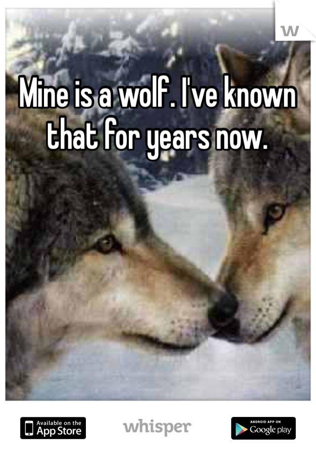 Mine is a wolf. I've known that for years now.
