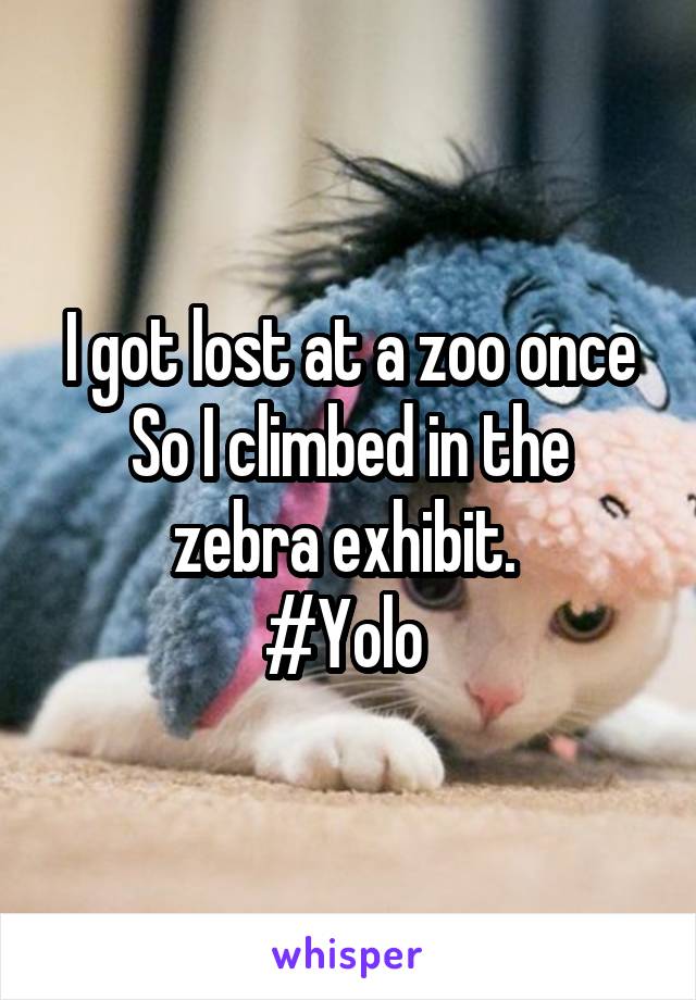 I got lost at a zoo once
So I climbed in the zebra exhibit. 
#Yolo 