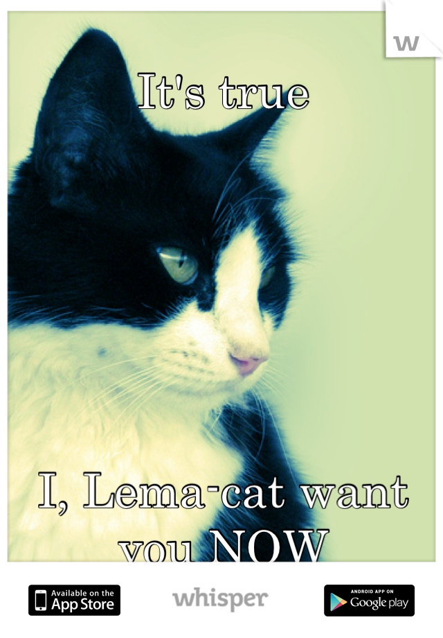 It's true






I, Lema-cat want you NOW