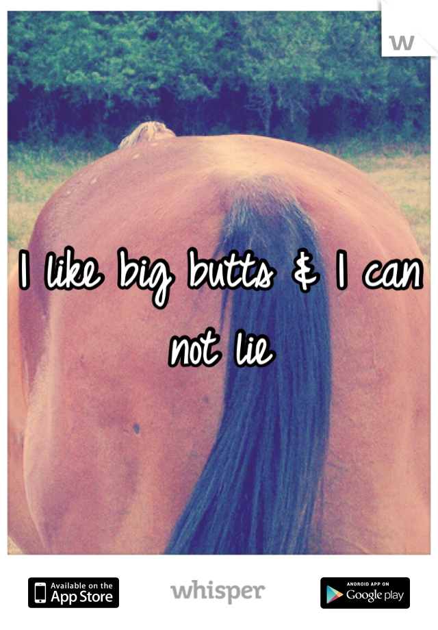 I like big butts & I can not lie