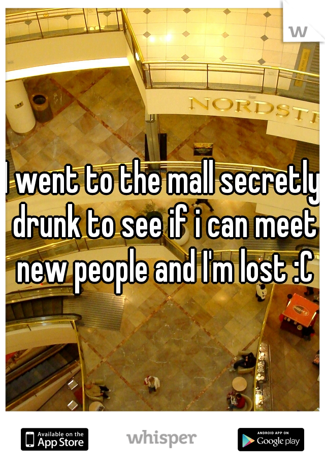 I went to the mall secretly drunk to see if i can meet new people and I'm lost :C