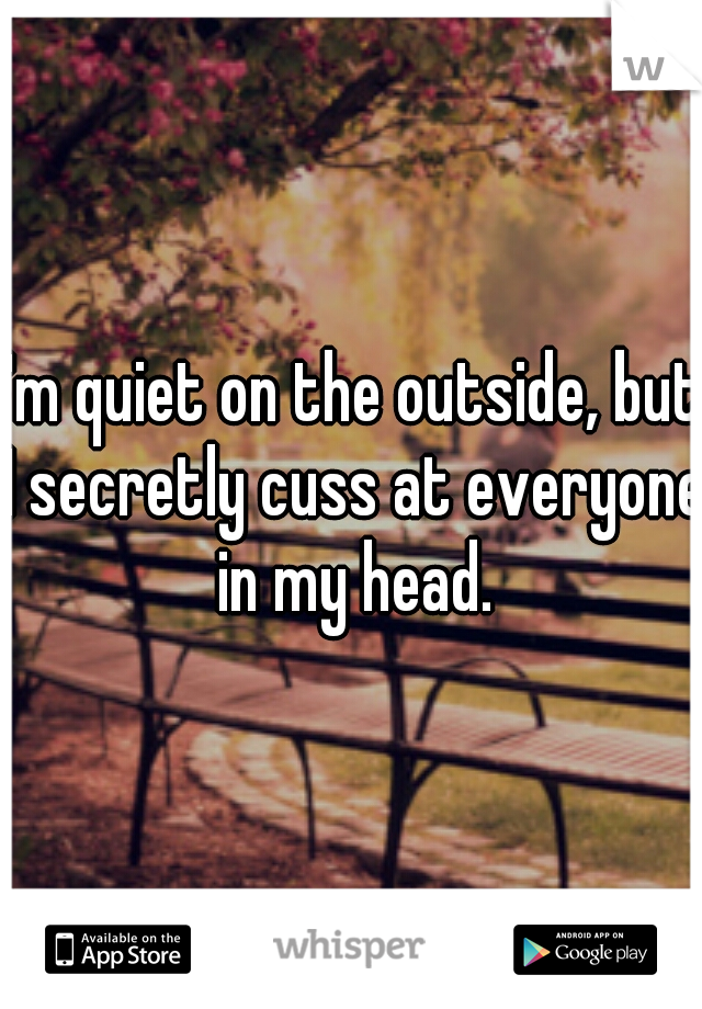I'm quiet on the outside, but I secretly cuss at everyone in my head.