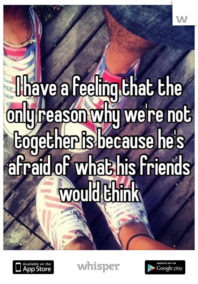 I have a feeling that the only reason why we're not together is because he's afraid of what his friends would think 
