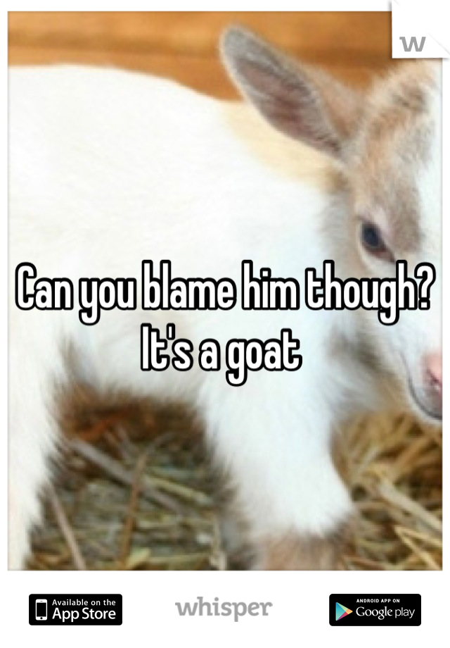 Can you blame him though? It's a goat 
