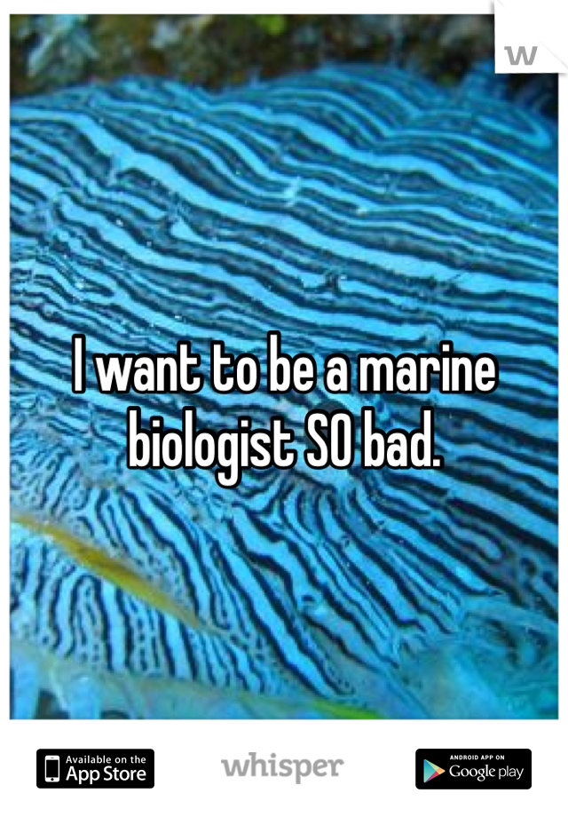 I want to be a marine biologist SO bad.