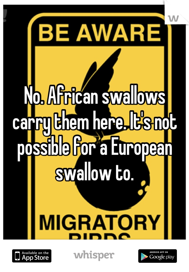 No. African swallows carry them here. It's not possible for a European swallow to.