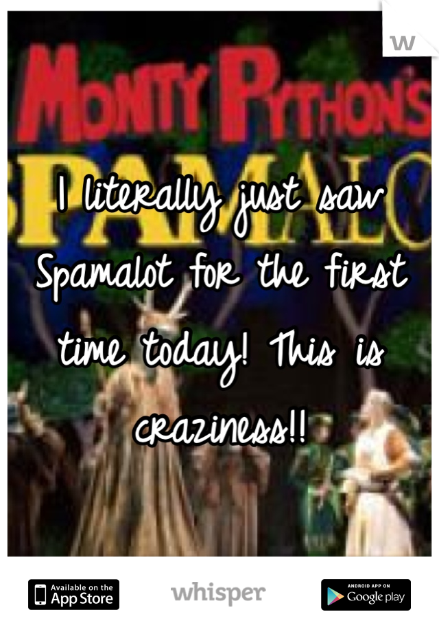 I literally just saw Spamalot for the first time today! This is craziness!!