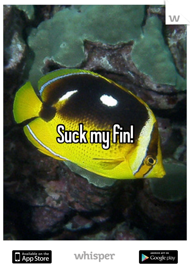 Suck my fin!