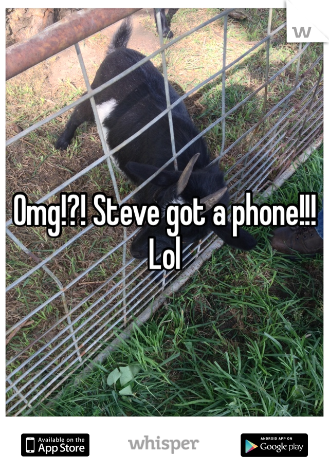Omg!?! Steve got a phone!!! Lol