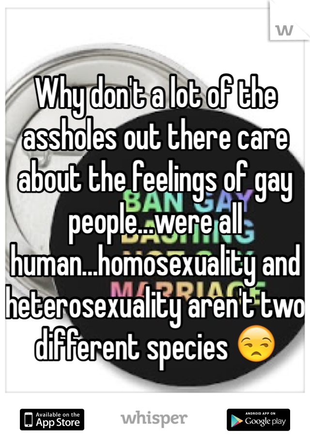 Why don't a lot of the assholes out there care about the feelings of gay people...were all human...homosexuality and heterosexuality aren't two different species 😒