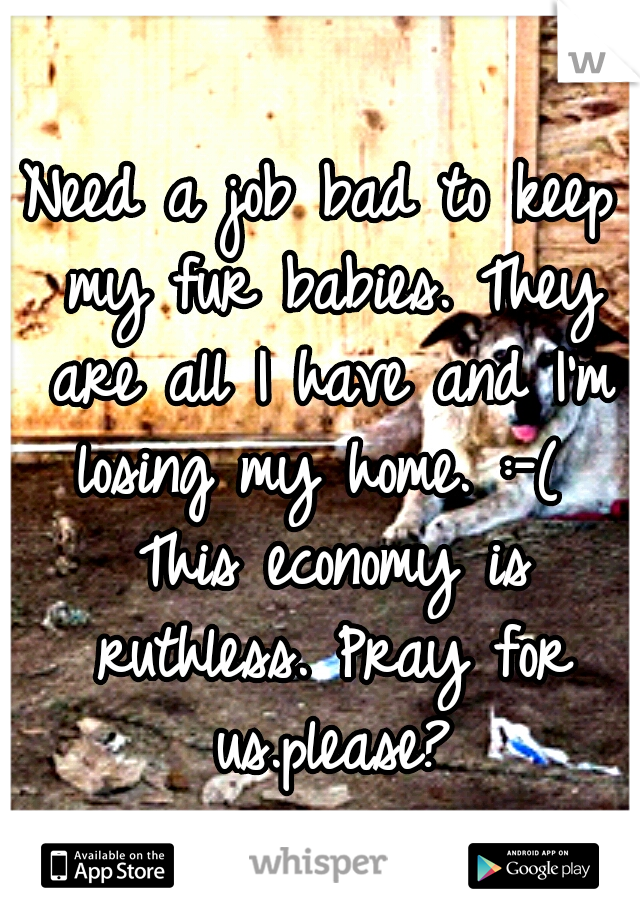 Need a job bad to keep my fur babies. They are all I have and I'm losing my home. :-(  This economy is ruthless. Pray for us.please?