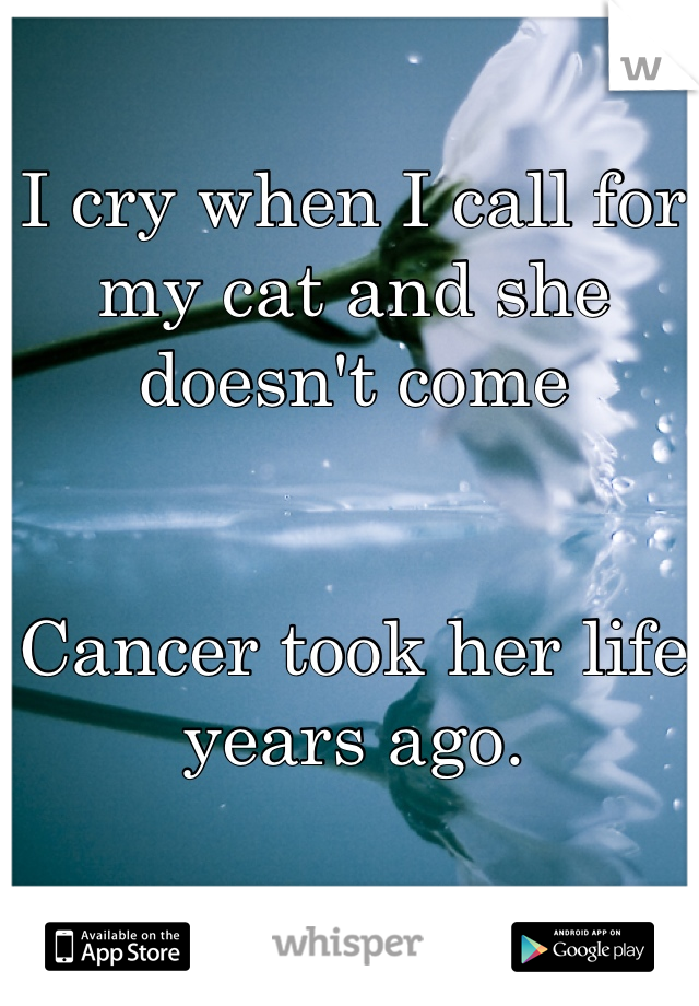 I cry when I call for my cat and she doesn't come


Cancer took her life years ago.