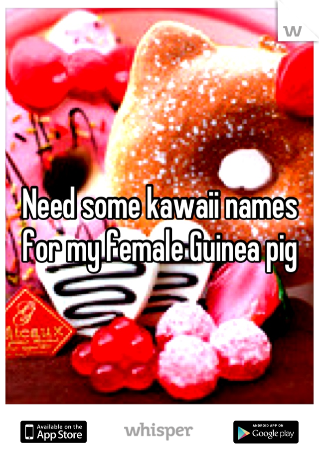 Need some kawaii names for my female Guinea pig