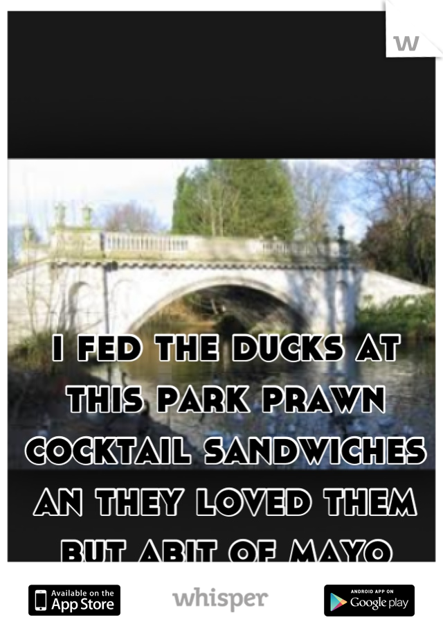 i fed the ducks at this park prawn cocktail sandwiches an they loved them but abit of mayo landed on its head 