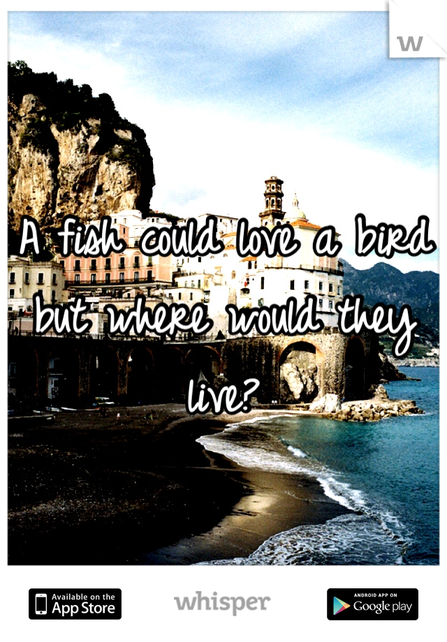A fish could love a bird but where would they live?