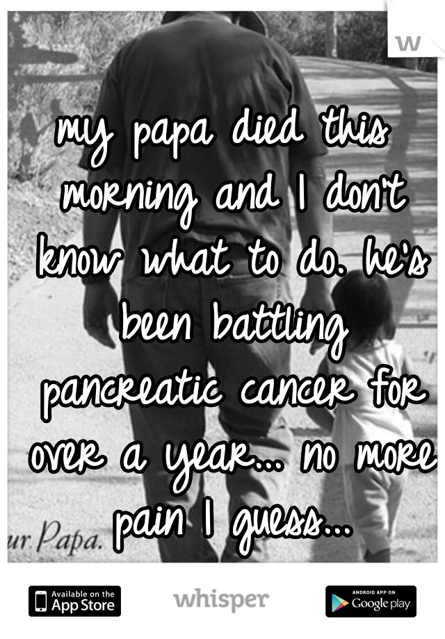 my papa died this morning and I don't know what to do. he's been battling pancreatic cancer for over a year... no more pain I guess...