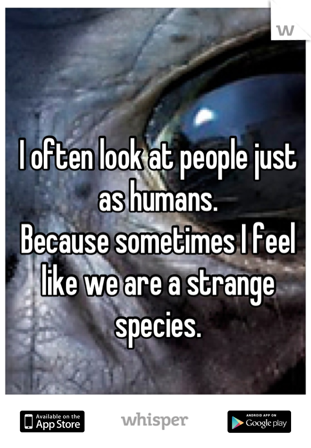 I often look at people just as humans.
Because sometimes I feel like we are a strange species.