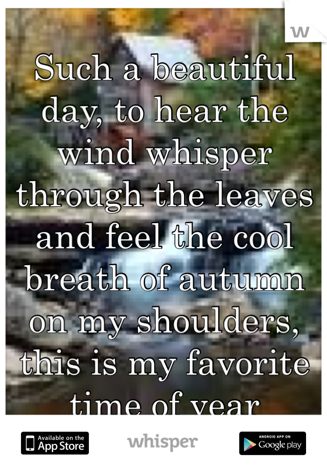Such a beautiful day, to hear the wind whisper through the leaves and feel the cool breath of autumn on my shoulders, this is my favorite time of year