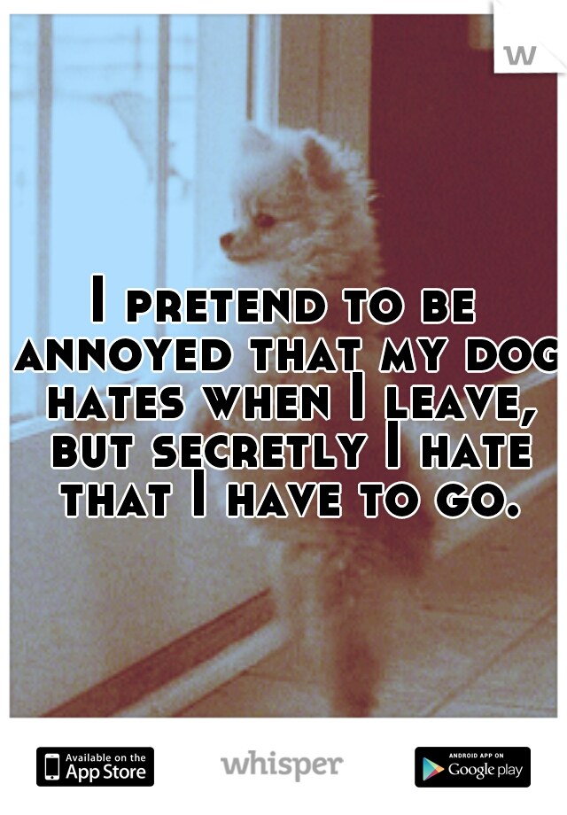 I pretend to be annoyed that my dog hates when I leave, but secretly I hate that I have to go.