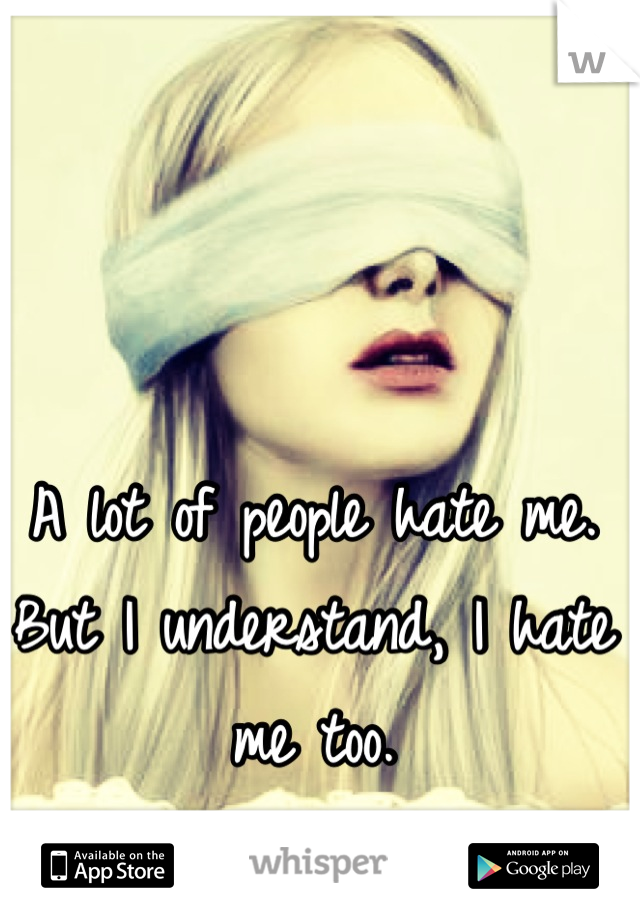 A lot of people hate me. But I understand, I hate me too.