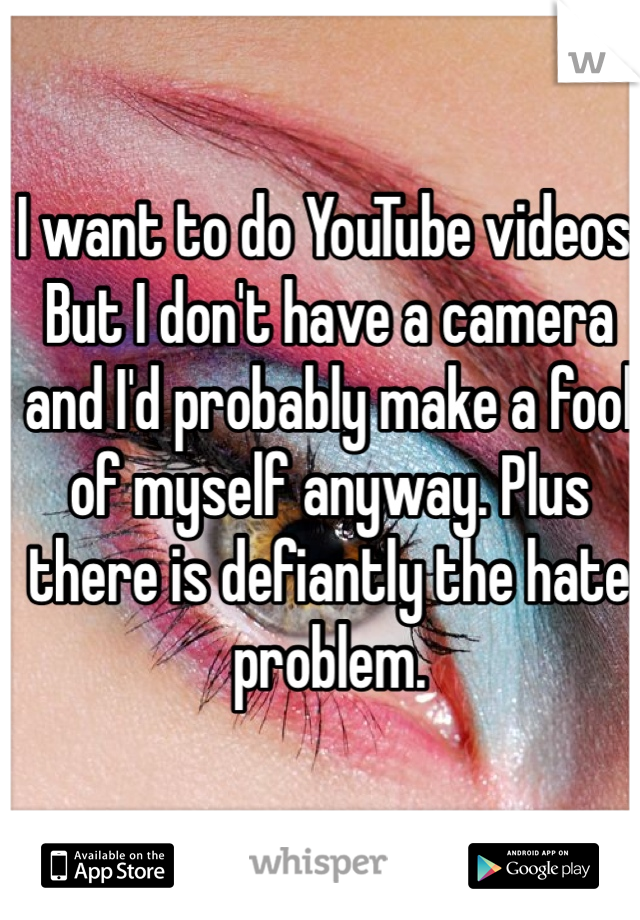 I want to do YouTube videos. But I don't have a camera and I'd probably make a fool of myself anyway. Plus there is defiantly the hate problem. 