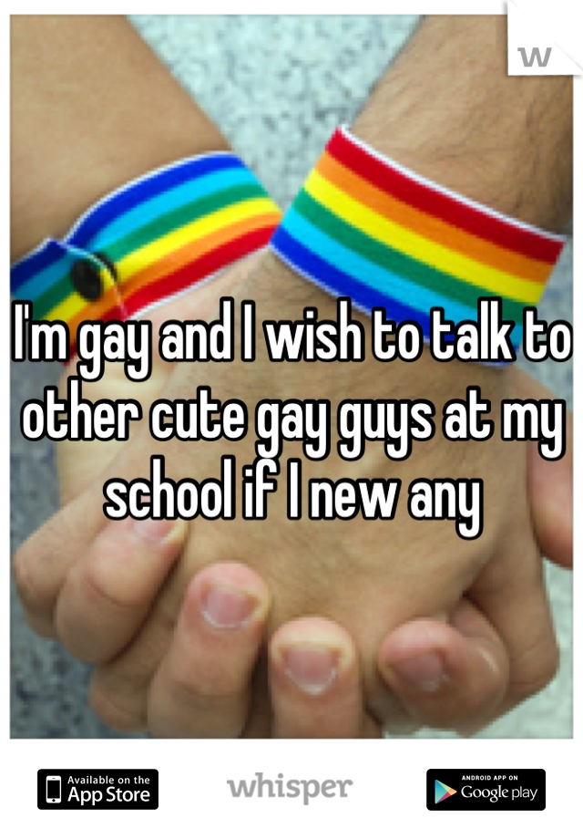 I'm gay and I wish to talk to other cute gay guys at my school if I new any