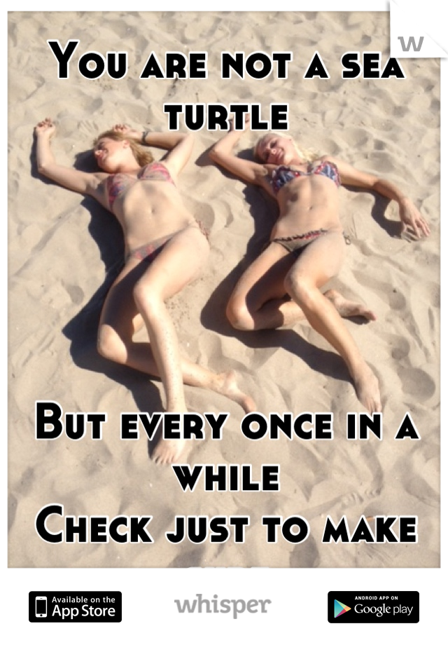 You are not a sea turtle





But every once in a while
Check just to make sure
