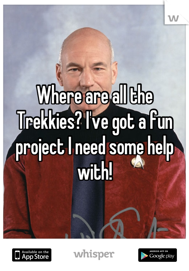 Where are all the Trekkies? I've got a fun project I need some help with!