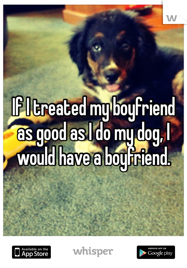 If I treated my boyfriend as good as I do my dog, I would have a boyfriend. 