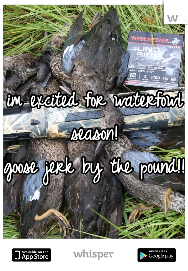im excited for waterfowl season!
goose jerk by the pound!!