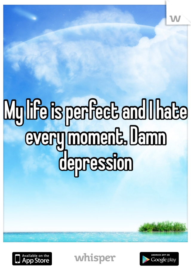 My life is perfect and I hate every moment. Damn depression