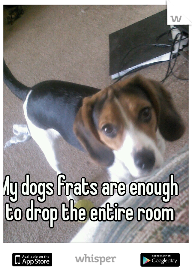 My dogs frats are enough to drop the entire room