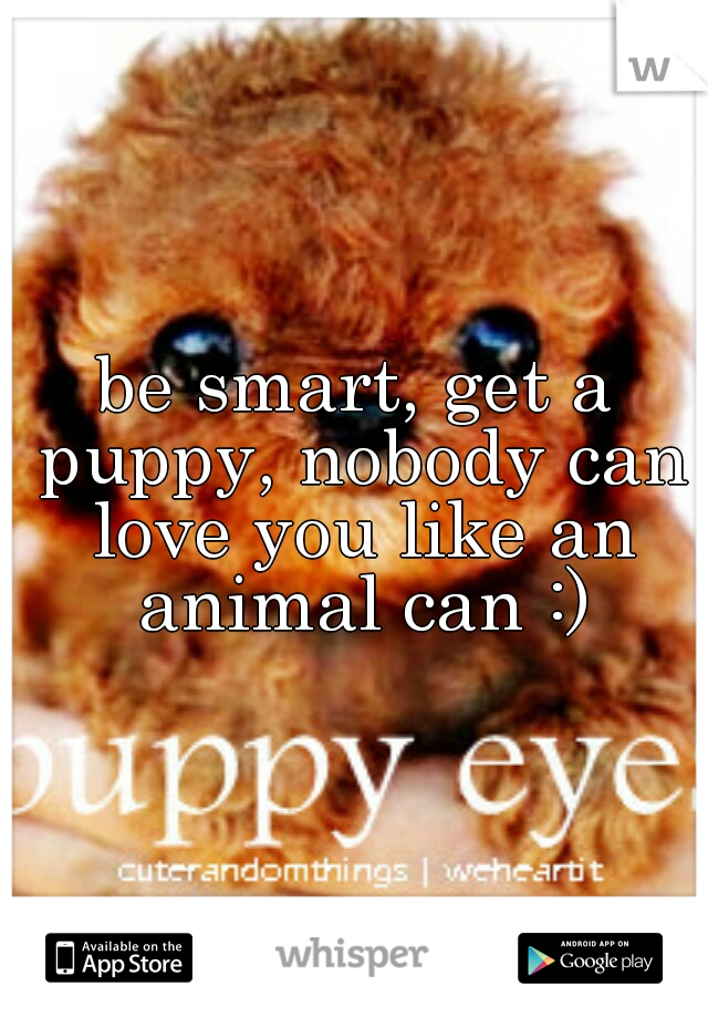be smart, get a puppy, nobody can love you like an animal can :)