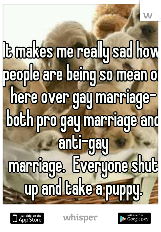 It makes me really sad how people are being so mean on here over gay marriage- both pro gay marriage and anti-gay marriage.
Everyone shut up and take a puppy.